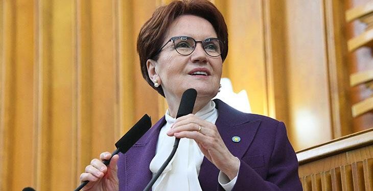 Akşener: Nevruz, katile özgürlük dilenme günü değildir