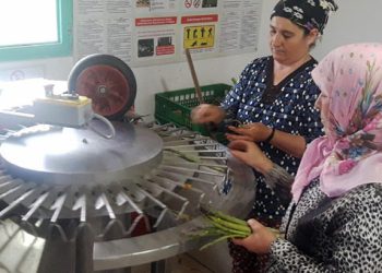 Bunu yapmak için kariyerini bıraktı! Talep patladı…