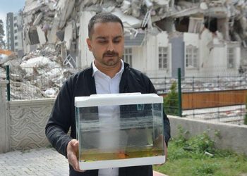 Depremde öldü diye düşündükleri balıkları 44 gün sonra canlı buldu