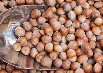 Giresun’dan 50 milyon dolarlık fındık ihracatı