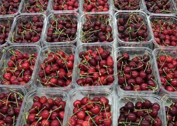 Kiraz ihracatında hedef 300 milyon dolar