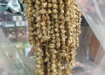 Kuru bamya altın kadar değerli