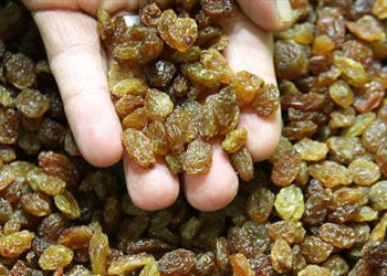 Kuru üzüm ihracatında “Uzak Doğu” bereketi