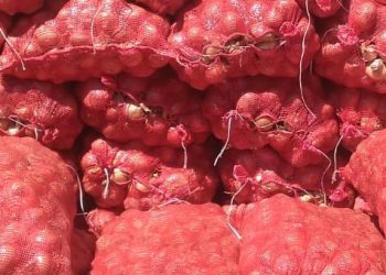 Soğanın kilogramı 9 liradan 1 liraya düştü