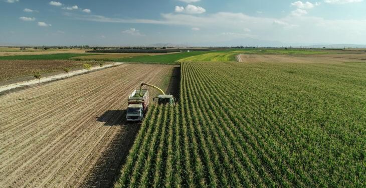 Tarımsal girdi fiyat endeksi ocakta arttı