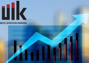 TÜİK bu yıl 93 konuda istatistik üretecek
