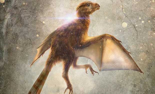 Yarasa kanatlı yeni bir dinozor türü keşfedildi