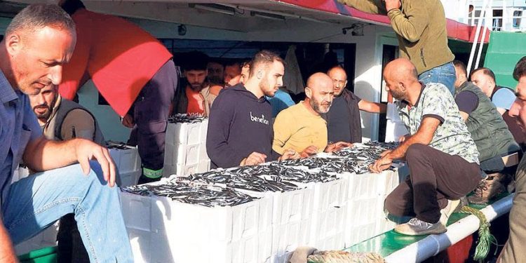 Halde hamsi kılçığı! Balıkçıyla toptancı karşı karşıya