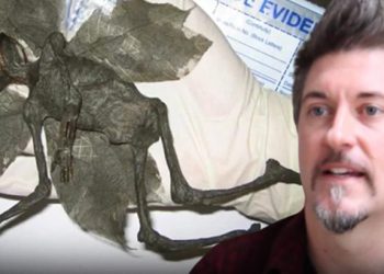 ‘Peri cesedi buldum’ deyince yer yerinden oynadı! ‘Toprağa ver, yoksa kötü olur’