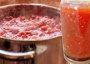 Evdeki biberli menemen böyle öldürdü! Zehri yok etmek için 2 dakika şart