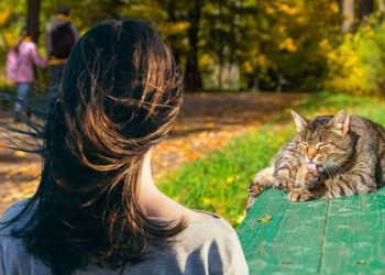 Kucağına kediyi alınca ecel teri döktü! Bilmediği 4 alerjisi aynı anda tetiklendi
