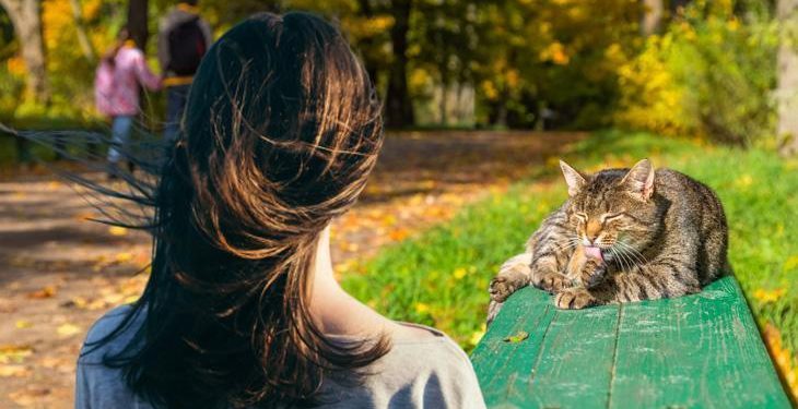 Kucağına kediyi alınca ecel teri döktü! Bilmediği 4 alerjisi aynı anda tetiklendi