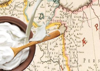 Yoğurt gerçeği: Türkler karıncayla mayaladı! ‘Sütten yapıldı ama sütten daha faydalı’